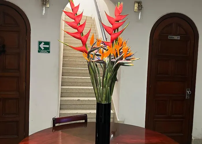 Completo Maison Créole En La Condesa Villa